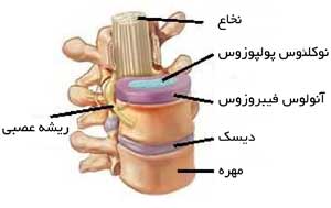 یӘ ی  ی